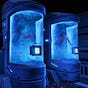 Criopreservacion. La Newsletter de Cryopreservation.es