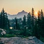 For the Love of Nature