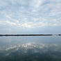 Bullfish Hole