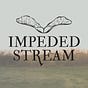 Impeded Stream