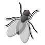 The Municipal Fly