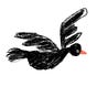 The Quiet Blackbird