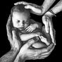 The Partnership Parenting Project
