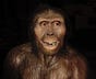 Australopithecus’s Substack