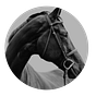 Horses for Courses