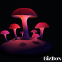Bizbox - Your business toolkit