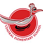 Roadrunner Updates