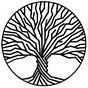 The Seeds of Science