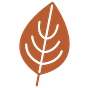 Autumn Diaries