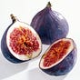 Figs in Winter: Stoicism and beyond