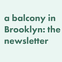 a balcony in Brooklyn: the newsletter