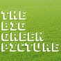 The Big Green Picture