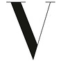 Vogue Runway Rag