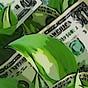 Profit Greenly