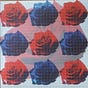 Scattered Roses 
