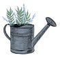 the watering can