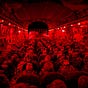 ArthurinCali’s Newsletter