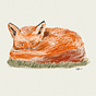 The Sleepy Fox