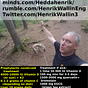 Henrik Wallin - All the useful stuff you need to know