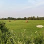 Landowners' Voice