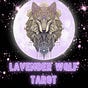 Lavender Wolf Reports