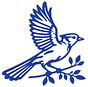 The Blue Jay