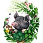 News from Nettle Valley Farm