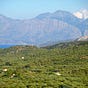 Claire In Crete