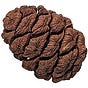 Giant Sequoia News