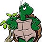 Turtle Thinking