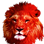 JvNewz Sidekick: News, Video, Education, and Opinion
