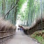 Letters From Japan