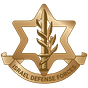 Mission Brief from LTC Richard Hecht (Official IDF Substack)