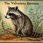 The Velveteen Raccoon