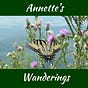 Annette's Wanderings
