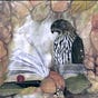Written Bird