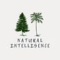Natural Intelligence
