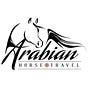 Arabian Horse Travel