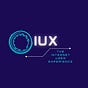 The Internet User Experience
