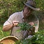 The Forest Almanac by Don Elzer