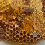 Honeycomb by Katie Lemon