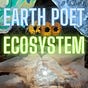 Earth Poet Edge Weaver