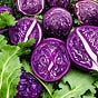 3 Red Cabbage Heads - poetry, knitting, and essays of life