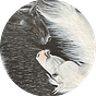 The Gray Horse Diaries