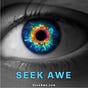 Seek Awe