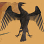 Aquila Writings