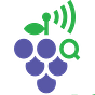 VineIQ