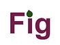 Fig 