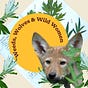 Weeds, Wolves & Wild Women
