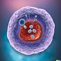 Amino Acids and Peptides: Secrets of Longevity and Radiance